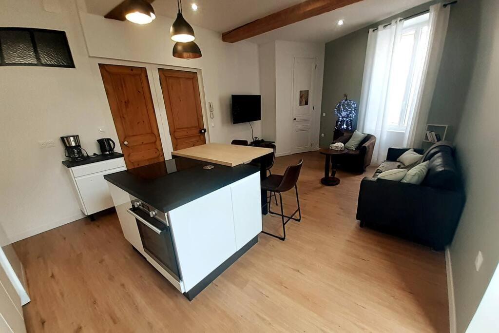 Classe 4 Etoiles - Cybele - Centre Ville 2 Chambres, Cour Privative Et Garage 비엔 외부 사진